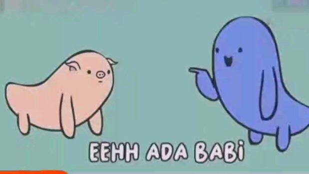 Video lucu ngakak, Babi di bilang Babi marah.