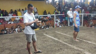 second fight loss