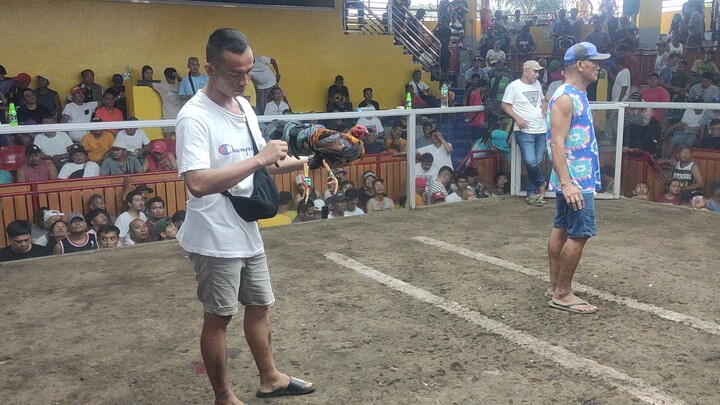 second fight loss