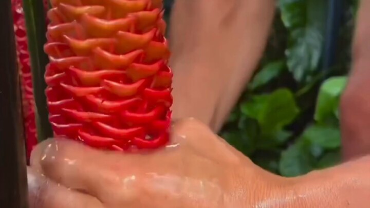 Tercengang oleh Gaya Bermain Bendungan Sungai