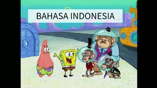 Spongebob bahasa Indonesia - Chimps Ahoy 3/4