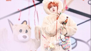 【202505·02】Fearless Project "Me vs. Justin Bieber" 4K Little Bear Edition