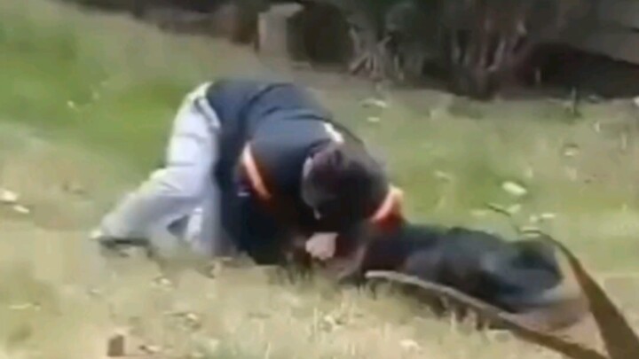 Asal kamu nggak takut sakit dan nggak ciut, adrenalin bakal meledak—anjing cuma puluhan kilo, cowok 