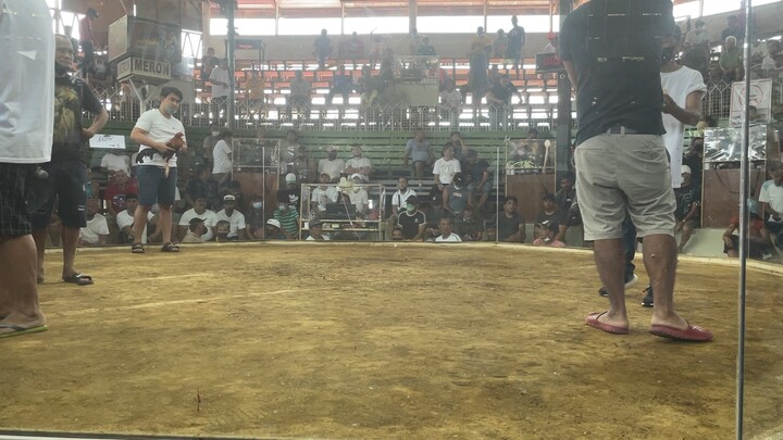 ASI GF 2 HITS CHAMPION