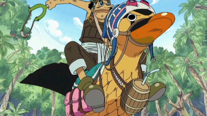 This duck is a perfect match for Usopp