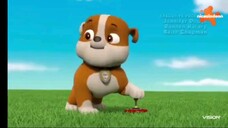 Paw patrol Musim 7 episode 7 dan 8 Bahasa indonesia