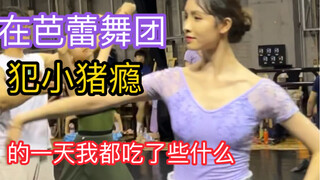 犯猪瘾的一天
