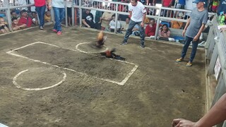 win
