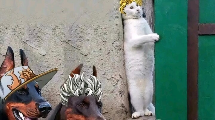 jojo's wonderful memes 33.0