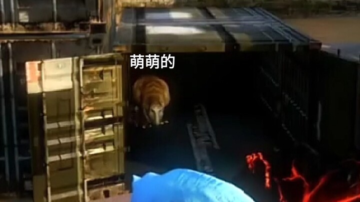 Tikus kecil yang sangat menggemaskan