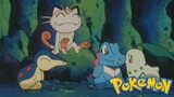 Pokémon Tập 169: Bộ Ba Rừng Nhiệt Đới! Trận Chiến Ở Suối Nước Nóng!! (Lồng Tiếng)