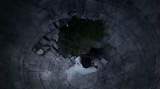 AHOF "Pinocchio" M/V