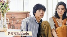 Dried flower: Our room in july EP2 (Sub indo)