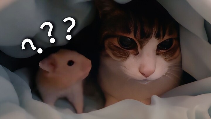 A Collection of Animals' Confusing Behaviors 220