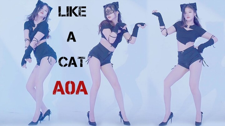 猫步轻俏like a cat-AOA【4K】【樱瞳】舞蹈翻跳