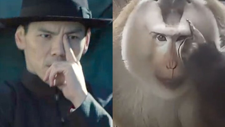 Sepertinya sekarang aku tahu siapa yang ditiru oleh Xiang Zuo!