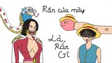 Luffy x Boa Hancock, Cái kết của vua hải tặc tương lai