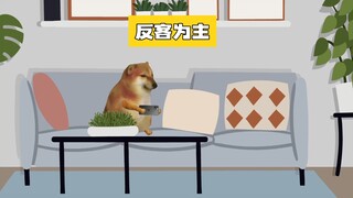 去给你女朋友看这个视频吧