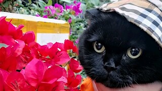 孩纸大了，糊弄不了了，爱好随我！视频最后的尾巴，可以当螺旋桨使用！