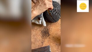 Quả sầu riêng 'ĐEN THUI BỐC KHÓI' mới nhìn tưởng 'TRỨNG RỒNG' hóa ra là 'CỰC PHẨM" #lifestyle