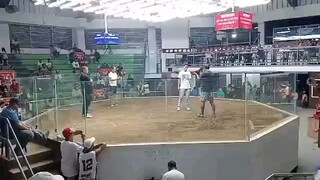 3stags timbangan sa Mendez..sharp mamalo
