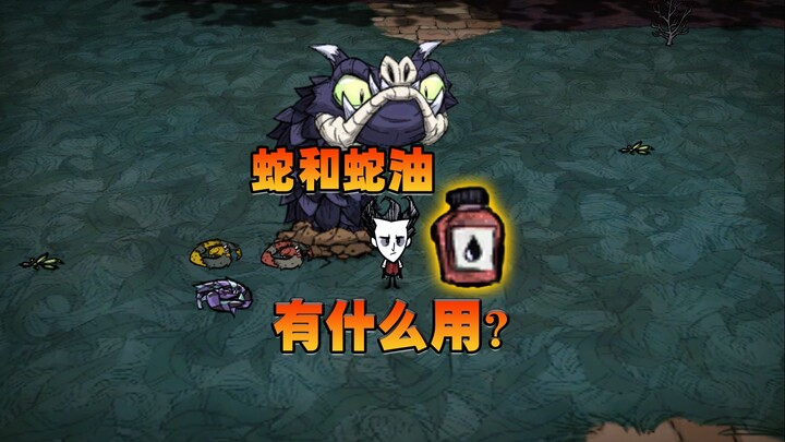 Don't Starve phiên bản offline: Rắn có tác dụng gì? Dầu rắn đúng là thứ vô dụng!