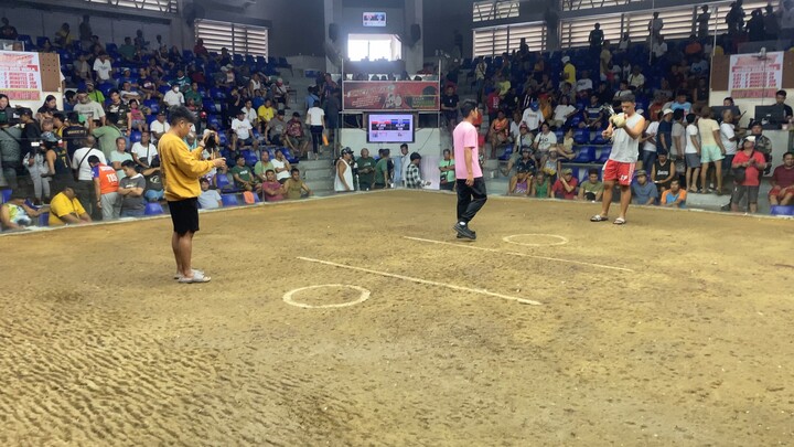 Hack fight ponkan loss