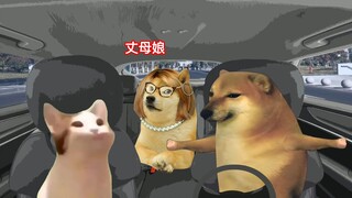 老婆大人，这钱我真的没有乱花