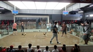 2x winner Boston grey two hits champs sa blue diamond molino, bacoor cavite