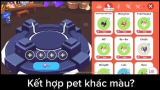 Tiến Hóa Pet Siêu Cute Trong Play Together