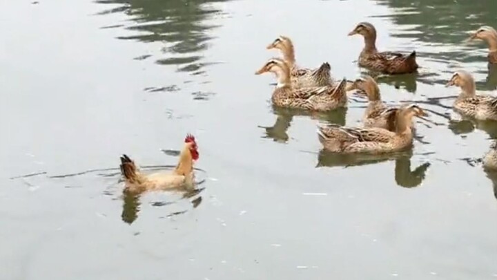 《低俗小说3》