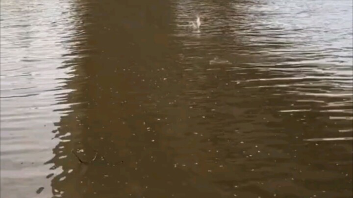 【】Apakah air minum langsung di Kanada yang memenuhi standar keamanan benar-benar aman untuk diminum?