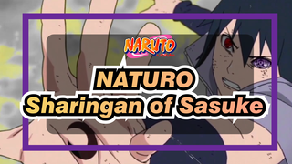 NATURO|Where is the Sharingan of Sasuke come from？