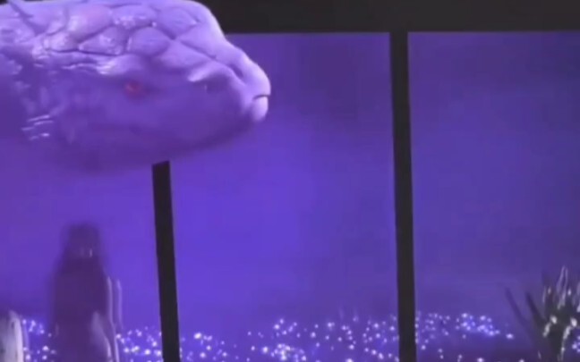 Hiệu ứng kinh dị của TV 3D gia đình