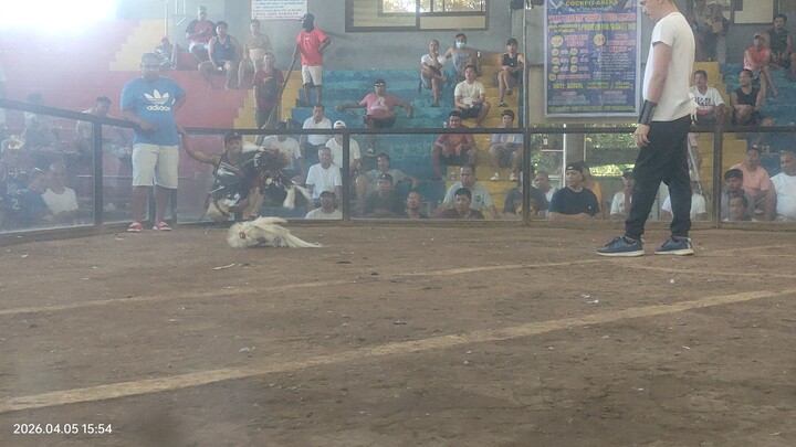 April 5 hackfight win limay mega cockpit