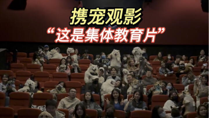 Membawa anjing menyewa bioskop penuh untuk menonton film! Masuk dengan tertawa, keluar dengan menang