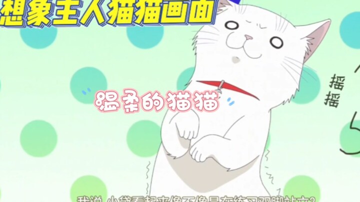 与小猫共度一天后，主人竟被当成猫的温柔待遇！