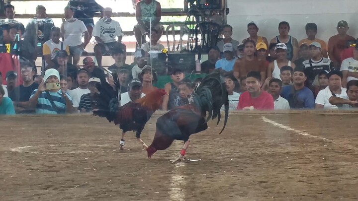 Hack Fight sa Angono Cockpit