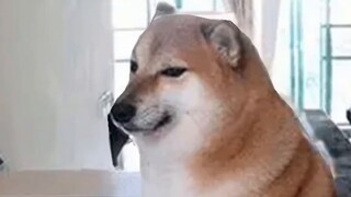 "Orang tua pemalas yang makan dan menonton tanpa gangguan" Penghargaan Berita Aneh (68)