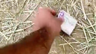 New Type of Scam 2.0