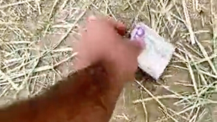 New Type of Scam 2.0