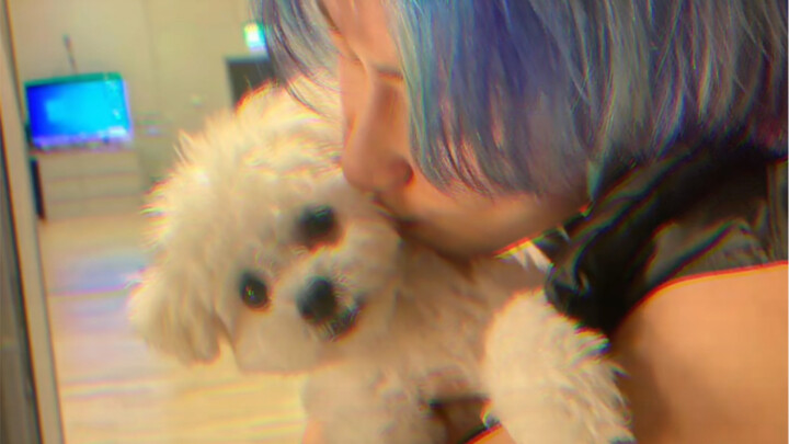 【Seo Myung-ho】Những năm tháng ôm ấp và hôn những chú cún (Người đàn ông được các bé cún yêu mến)