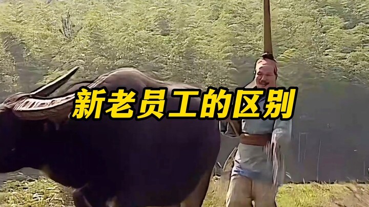 الفرق بين الموظفين الجدد والقدامى