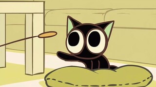 谁家的正经主人是这样逗猫的呀！