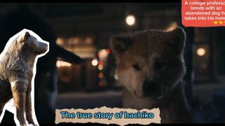 Hachiko a loyal dog - I can't try to not cry 😢