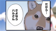 Ngày Tận Thế Với Chú Chó Shiba Của Tôi EP 22 [Sub Việt]