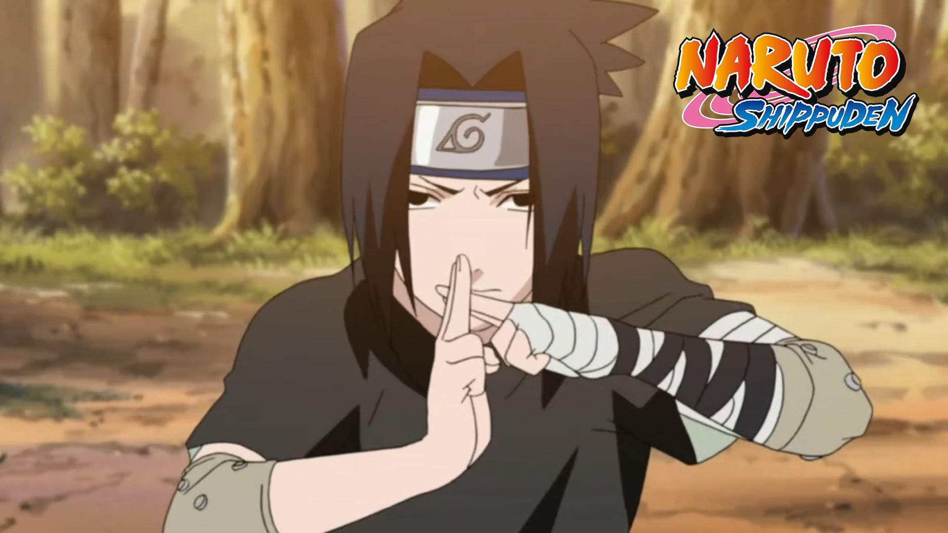 Naruto Shippuden Episode 196-200 Sub Title Indonesia - BiliBili