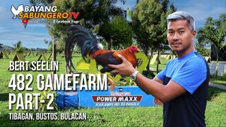 482 Gamefarm - Bert Seelin (Part 2)