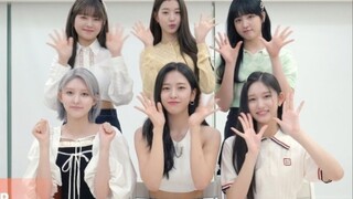 【中字】IVE After LIKE MV Reaction！