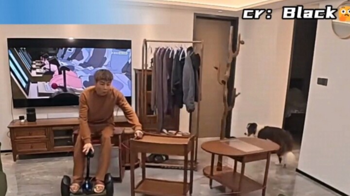 A netizen shares their solo living situation, and the long string of comments that follow is unexpec